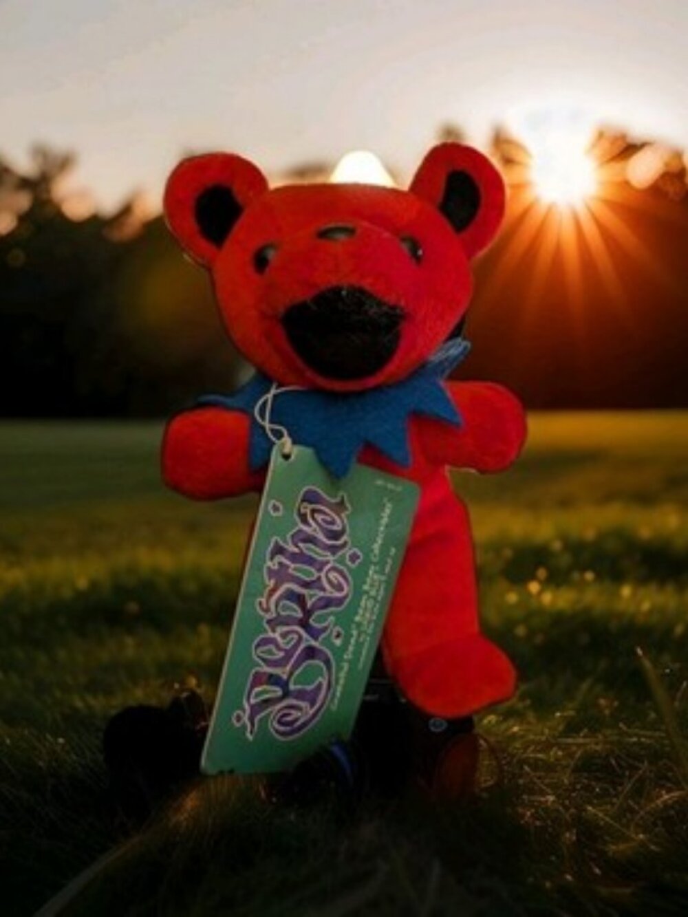 Vintage 1998 Grateful Dead Liquid Blue Plush Bear BERTHA Red Blue Collar Tagged